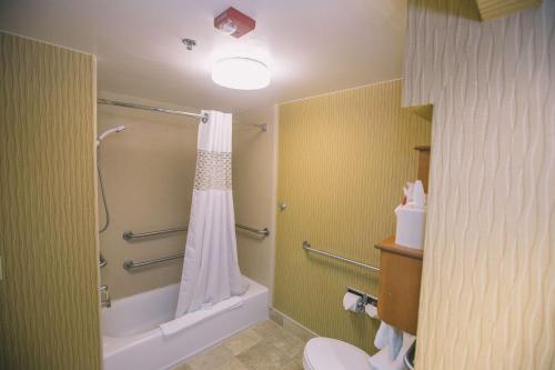 y baño con ducha y cortina de ducha. en Hampton Inn Tallahassee-Central, en Tallahassee