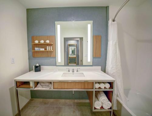 a bathroom with a sink and a mirror at Hilton Garden Inn Tampa - Wesley Chapel in Wesley Chapel