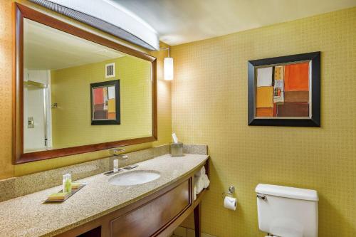 a bathroom with a sink and a mirror at DoubleTree by Hilton Johnson City in Johnson City