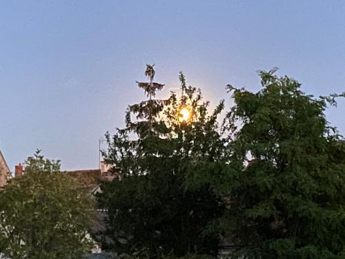 Gallery image of Villa Christine Chambre Rose in Marchenoir