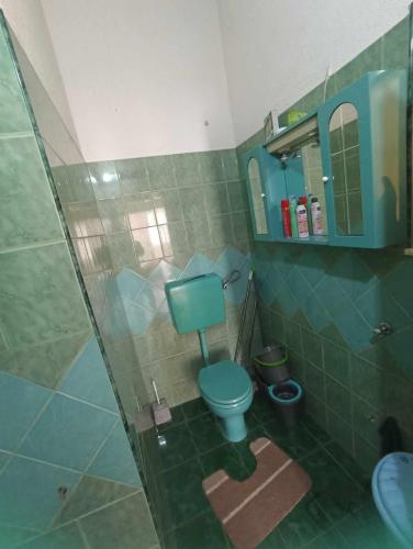 a bathroom with a blue toilet and a shower at Apartments Emir in Kiseljak