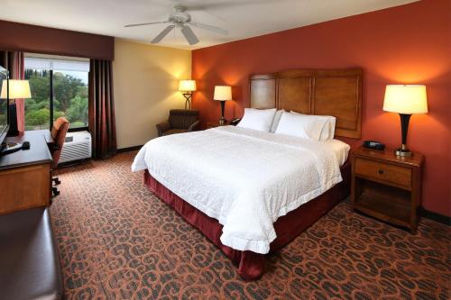 een hotelkamer met een groot bed en een raam bij Hampton Inn & Suites Tucson Mall in Tucson