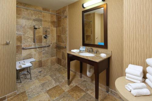 uma casa de banho com um lavatório e um chuveiro em Hampton Inn & Suites Tucson Mall em Tucson