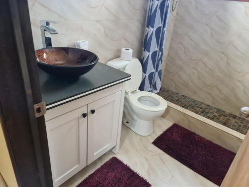 a bathroom with a sink and a toilet at Galloway's Cottage in Saint Johnʼs