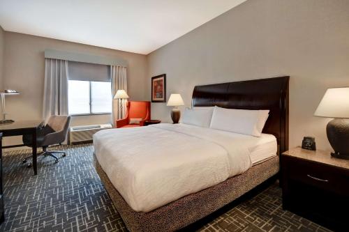 a hotel room with a large bed and a desk at Hilton Garden Inn Twin Falls in Twin Falls