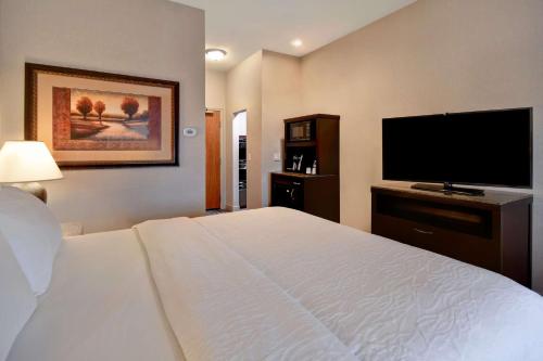 a bedroom with a large bed and a flat screen tv at Hilton Garden Inn Twin Falls in Twin Falls