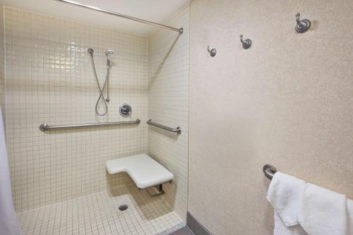 a bathroom with a shower stall with a toilet at Hampton Inn Washington-Dulles International Airport South in Chantilly
