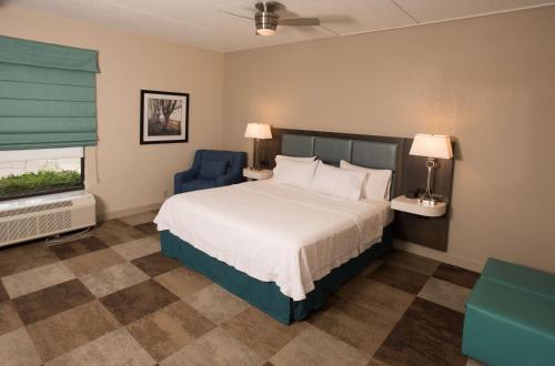 1 dormitorio con 1 cama y 1 silla azul en Hampton Inn Wooster, en Wooster