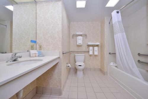 ein Bad mit einem Waschbecken, einem WC und einer Dusche in der Unterkunft Hampton Inn Waynesboro/Stuarts Draft in Fishersville