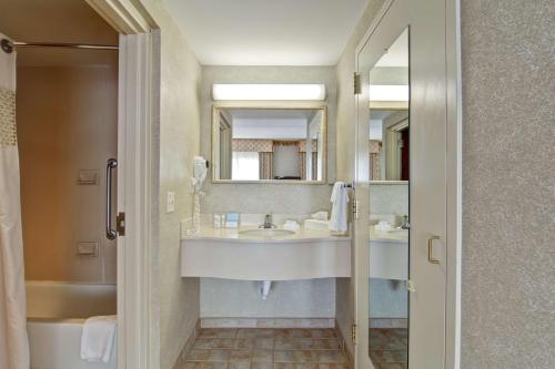a bathroom with a sink and a mirror and a tub at Hampton Inn & Suites Leesburg in Leesburg