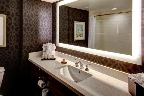 a bathroom with a sink and a mirror at Embassy Suites Williamsburg in Williamsburg