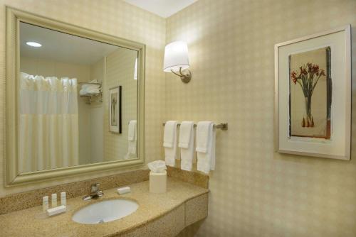 a bathroom with a sink and a mirror at Hilton Garden Inn Joplin in Joplin