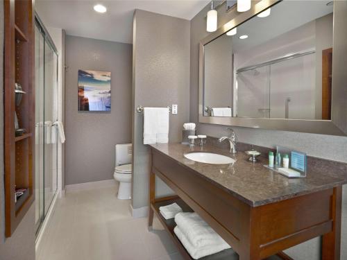 a bathroom with a sink and a mirror and a toilet at Hampton Inn by Hilton Halifax Downtown in Halifax