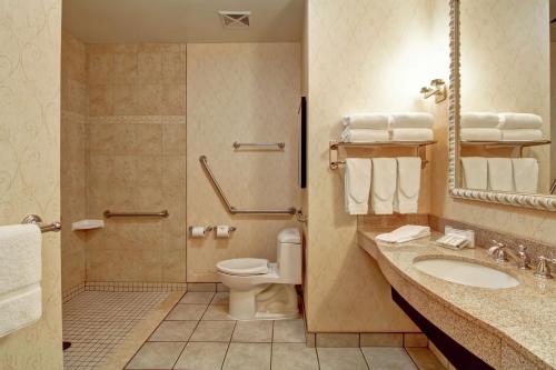 ein Bad mit einem WC, einem Waschbecken und einer Dusche in der Unterkunft Hilton Garden Inn Ottawa Airport in Ottawa