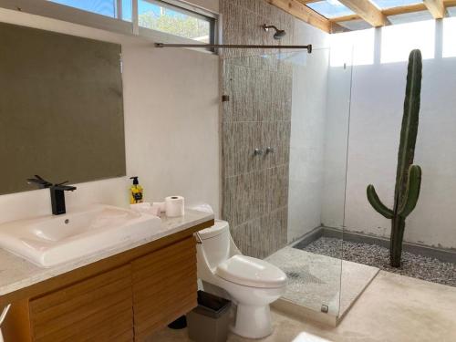 a bathroom with a sink and a toilet and a cactus at Glamping Risco Xodhe Cactus in Tecozautla