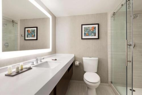 y baño con aseo, lavabo y ducha. en Embassy Suites by Hilton Chicago Lombard en Lombard