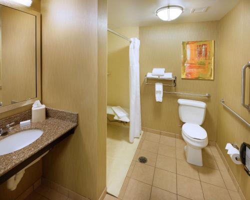 een badkamer met een toilet en een wastafel bij Hilton Garden Inn Springfield, MO in Springfield