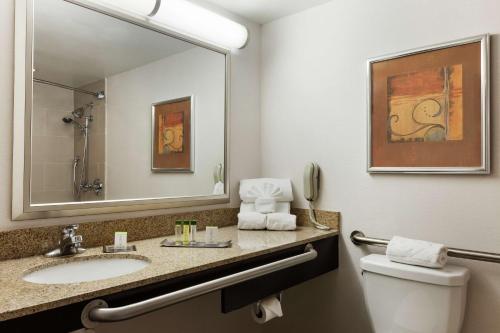 a bathroom with a sink and a toilet and a mirror at DoubleTree by Hilton Dearborn in Dearborn