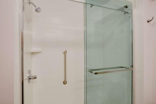 a shower stall with a glass door in a bathroom at Hampton Inn & Suites Cleveland-Independence in Independence