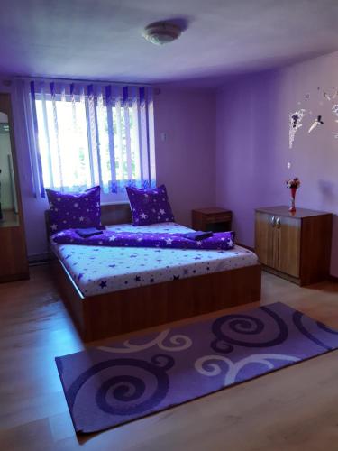 - une chambre avec 2 lits dotés d'oreillers violets et d'un tapis dans l'établissement CASA IZA, à Băile Herculane