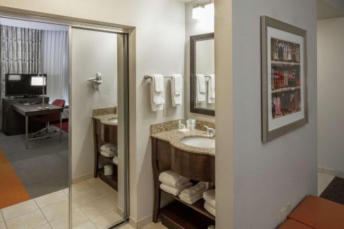 Hampton Inn & Suites Austin Cedar Park-Lakeline في أوستن: حمام مع حوض ومرآة