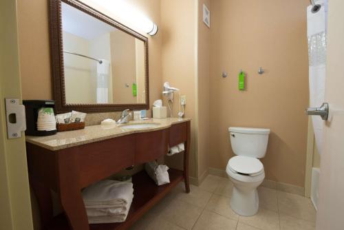 a bathroom with a sink and a toilet and a mirror at Hampton Inn Bismarck in Bismarck