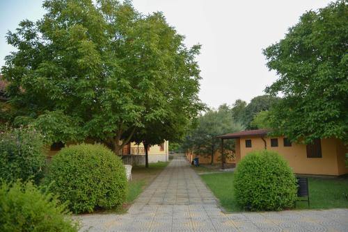 a walkway in a yard with trees and a building at Village of Peace - House 34 in Shkodër