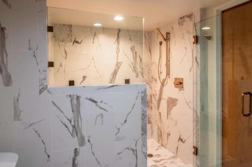 サンディエゴにあるダブルツリー ホテル サンディエゴ ダウンタウンのバスルーム(シャワー、シンク、鏡付)
