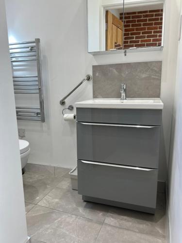 a bathroom with a sink and a toilet at Studio 33 in Chichester