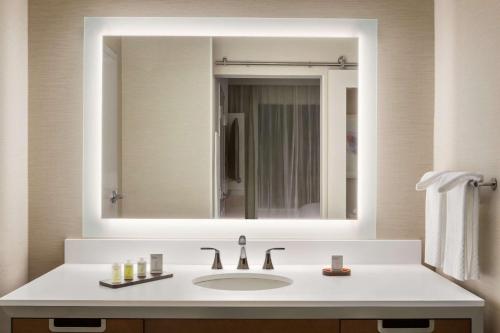a bathroom with a sink and a large mirror at Embassy Suites by Hilton McAllen Convention Center in McAllen
