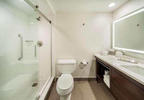 y baño con aseo, lavabo y ducha. en DoubleTree by Hilton Nanuet, en Nanuet