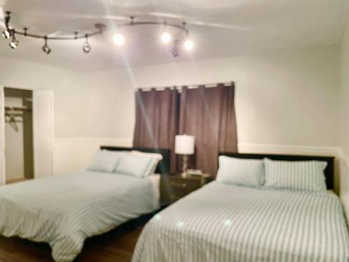 a bedroom with two beds and a table with a lamp at GORGEOUS VIEW Pool, Park, Mall, Beaches, Airport in Plantation