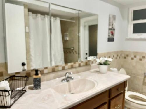 a bathroom with a sink and a toilet and a mirror at GORGEOUS VIEW Pool, Park, Mall, Beaches, Airport in Plantation