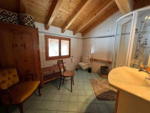 a bathroom with a shower and a toilet and a sink at Châlet Champex-lac in Champex
