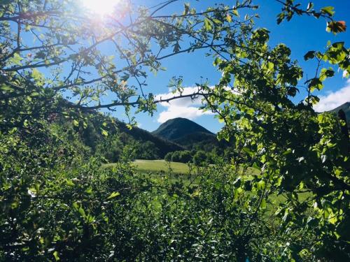 a view of a mountain through the trees at Le Moulin de la Viorne, gîte avec piscine au cœur de la nature en Haute-Provence in Les Omergues