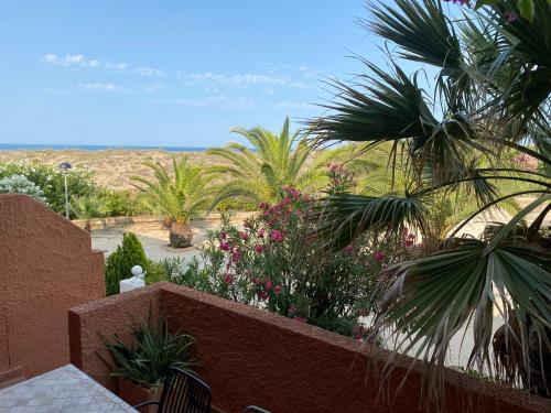 Blick auf einen Garten mit Palmen und Blumen in der Unterkunft Casa frente al mar con Vistas in Oliva