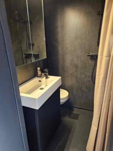 a bathroom with a sink and a toilet at A Cheaper Option to Hotel (free street parking) in Ålesund