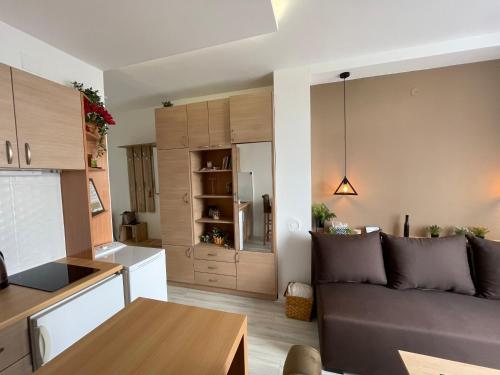 uma sala de estar com um sofá e uma cozinha em Apartman Pile 2 em Zlatibor