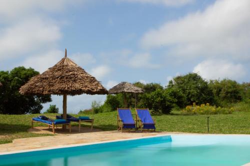 two chairs and umbrellas next to a swimming pool at Pangani Cliffs Lodge in Pangani