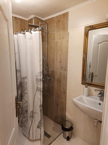 a bathroom with a shower and a sink at CASA BARONULUI in Baia Mare