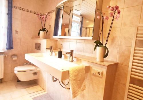 W łazience znajduje się umywalka, toaleta i lustro. w obiekcie Ferienwohnung MarLeo w mieście Affoldern