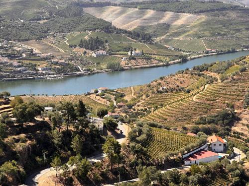 an aerial view of a river and vineyards at Casa da Amendoeira Covelinhas in Peso da Régua