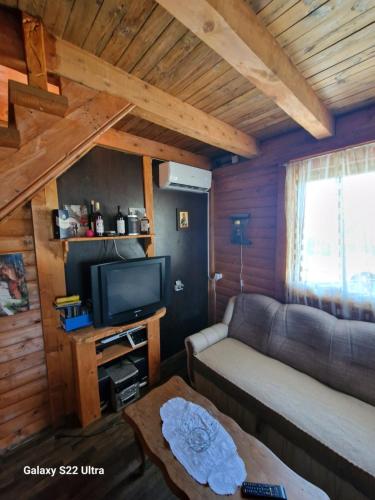 ein Wohnzimmer mit einem Sofa und einem TV in der Unterkunft Stefan in Nikšić