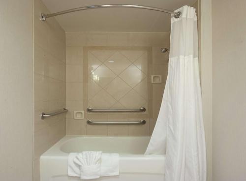 a bathroom with a tub and a shower curtain at Hilton Garden Inn Atlanta Airport/Millenium Center in Atlanta
