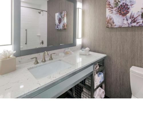 a bathroom with a sink and a toilet at Hilton Garden Inn Arvada/Denver, CO in Arvada