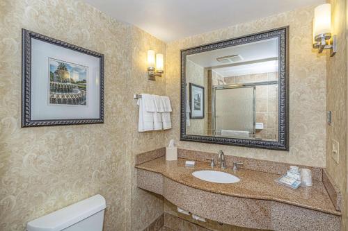 een badkamer met een wastafel, een spiegel en een toilet bij Hilton Garden Inn Charleston Airport in Charleston