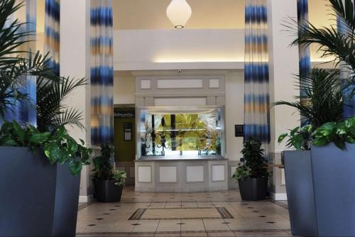 a lobby with potted plants in pots on the floor at Hilton Garden Inn Gettysburg in Gettysburg