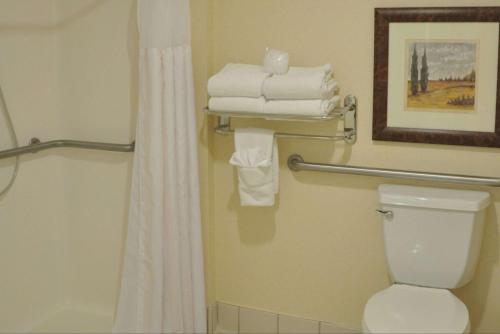 uma casa de banho com chuveiro, WC e toalhas em Hilton Garden Inn Gettysburg em Gettysburg