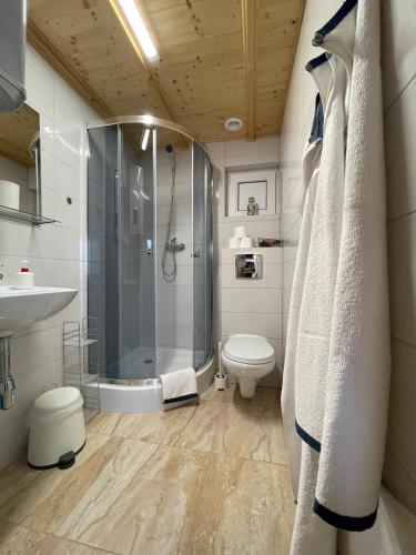 a bathroom with a shower and a toilet and a sink at Lilly 5 Stars in Grzybowo