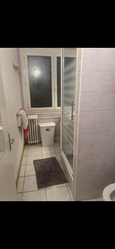 a bathroom with a shower and a toilet and a window at Apartement centre ville in Nîmes